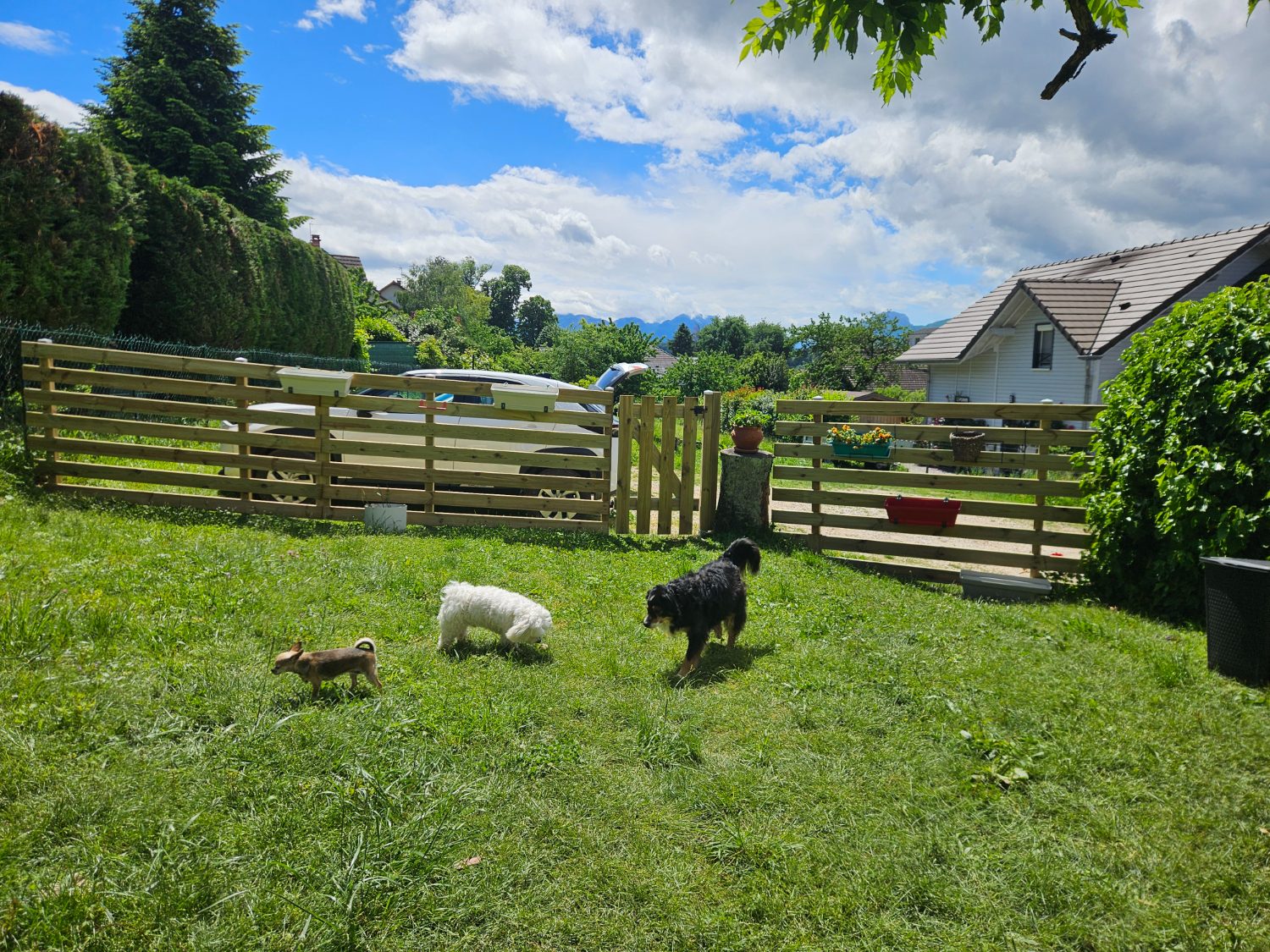 Pet sitting et gardes